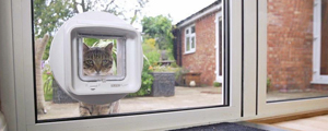 Plymouth Glazier